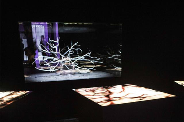 2004 卡罗尔本扎肯 作品.jpg